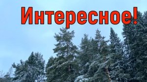 11 апреля Вербная Пятница. Что нельзя делать 11 апреля. Н