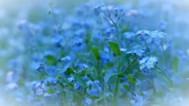 Лилия Ямбушева Незабудки Upscale 1997