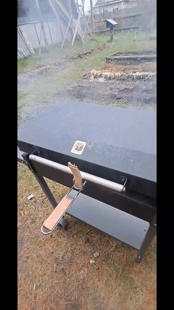 #стейк #шашлык #гриль #steak #стейктомиджери #튀긴 고기