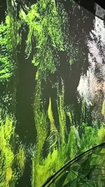 #спб #выставка #сад #1111 смотреть онлайн