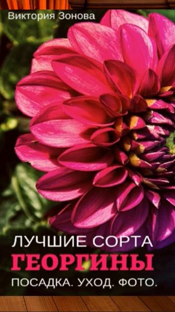 ГЕОРГИНЫ смотреть онлайн