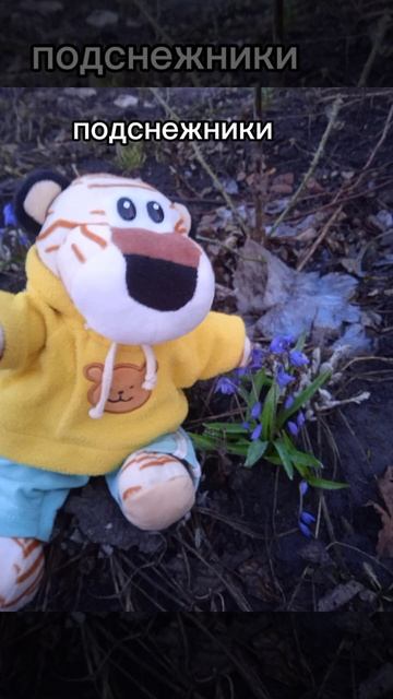 #басик #басики #подснежники #подпишись смотреть онлайн