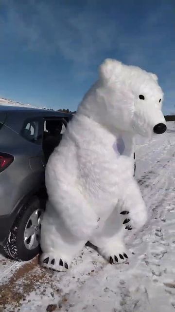 Кто-то слишком много ест🤣#shorts #kz смотреть онлайн
