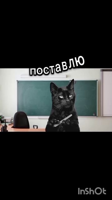 доказал что на марсе есть Вода! #lego #котики #собака #мем смотреть онлайн