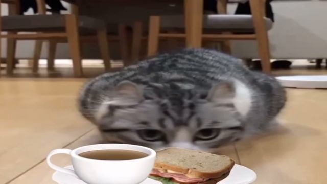 Що ты ев на завтрак? 🥞 смотреть онлайн