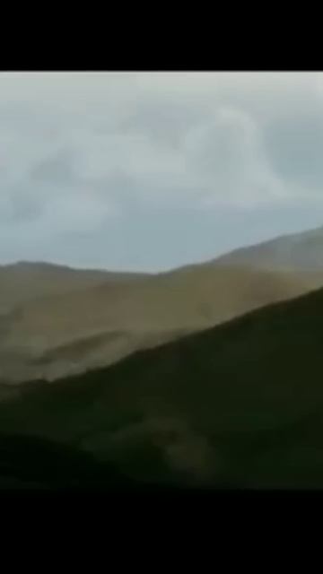Есть такая профессия - Родину защищать ! смотреть онлайн
