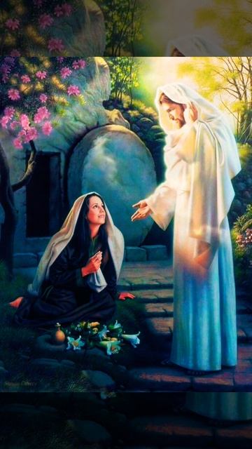 Иисус сын Божий и мы тоже♥️#рекомендации #jesus #biblia #shortv смотреть онлайн