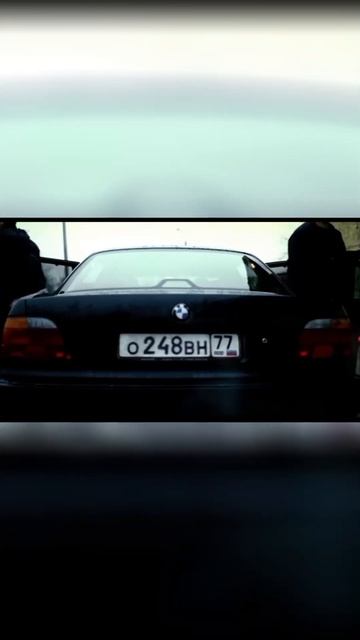 двадцатка есть🤑 #бумер #рама #кила #димон #кот #легенда смотреть онлайн