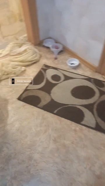 Когда у тебя есть котёнок, а тебя нет дома... #кошачьяжи? смотреть онлайн