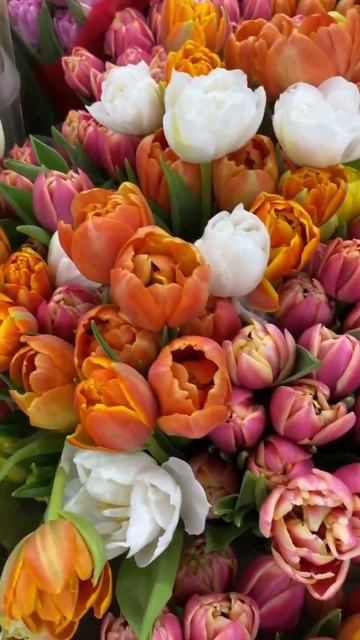 8 Марта! Дарите женщинам цветы! #8марта #поздравление #sho смотреть онлайн