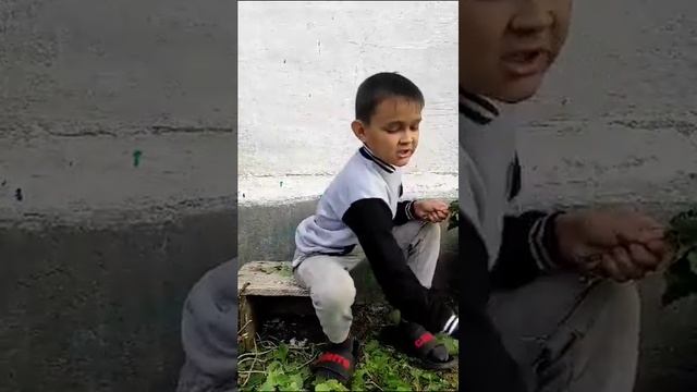 Как сделать березовый веник для ребенка? смотреть онлайн