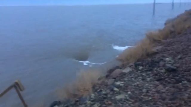 Дегелен Майск 2017-30-03