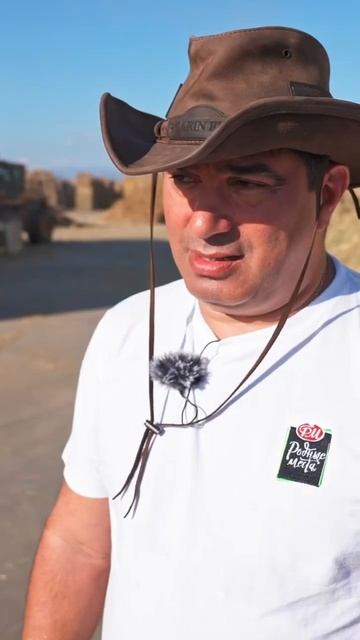 Люцерна как продукт выгоднее, чем зерно #люцерна #живо? смотреть онлайн