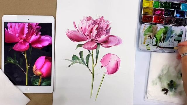 Рисуем реалистичный пион смотреть онлайн