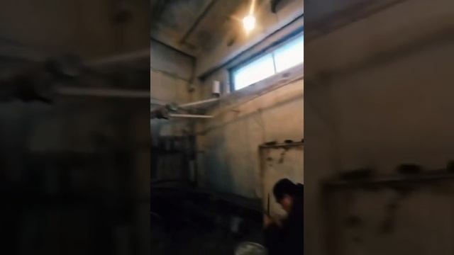 Ошейник Пой - лезвие сеул -тайна (cover) смотреть онлайн