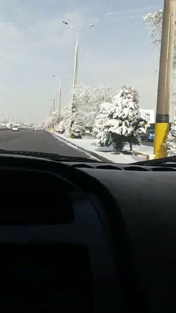 Сегодня Ташкент снег смотреть онлайн