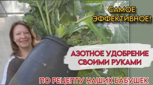 ЭТО УДОБРЕНИЕ ВСЕХ ВРЕМЕН И НАРОДОВ, РАБОТАЕТ НА 200 %