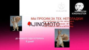 Тех. неполадки (Первый канал HD +3, 24.12.2020)