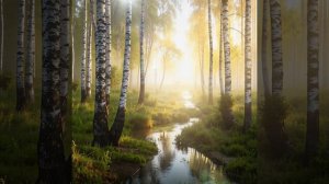 «Гой ты, Русь, моя родная…»