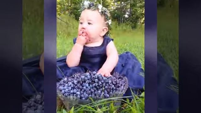 Счастье есть, оно не может не есть! Праздник жатвы)) смотреть онлайн