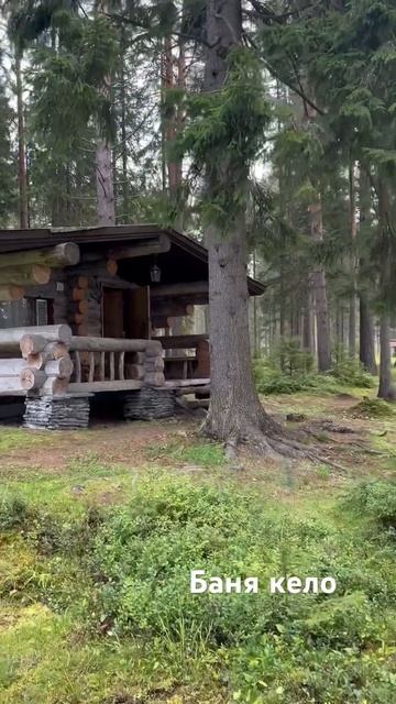 Баня из сосны кело . #строительство #баня #дом #shots #home #д? смотреть онлайн