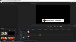 Как экспортировать видео с прозрачным фоном в Premiere Pro ?