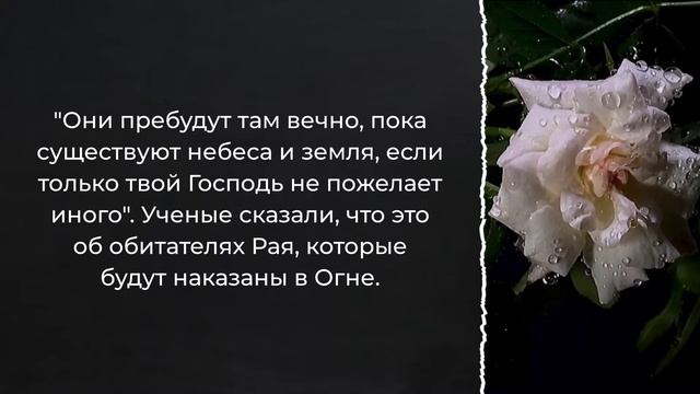 Как объединить некоторые аяты об Аде? / Шейх аль-Фаузан / Шарх ас-Сунна (134) смотреть онлайн