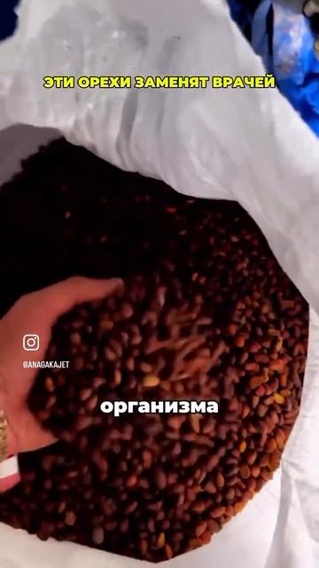 Орехи польза #cake смотреть онлайн