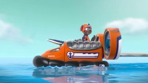 Щенячий патруль | Щенячий патруль везде, кроме Бухты П?