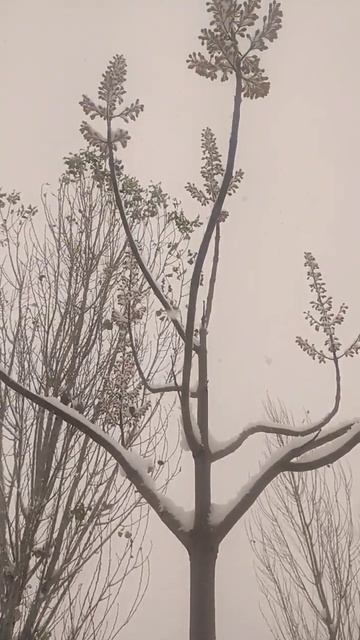 Доброе Утро Казахстан Россия Тожикистон Кыргызстан Т? смотреть онлайн