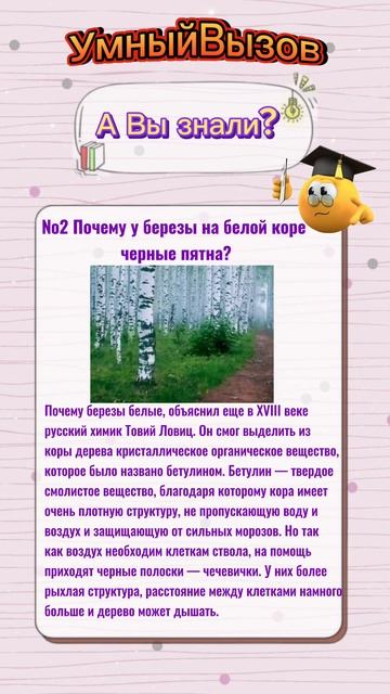 А Вы знали? #вопрос #знания #береза #вопросответ #подпиш смотреть онлайн
