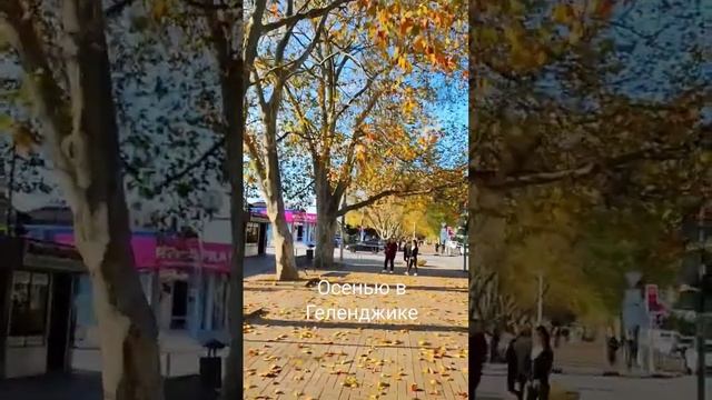 #геленджик #осень Осень в Геленджике. смотреть онлайн