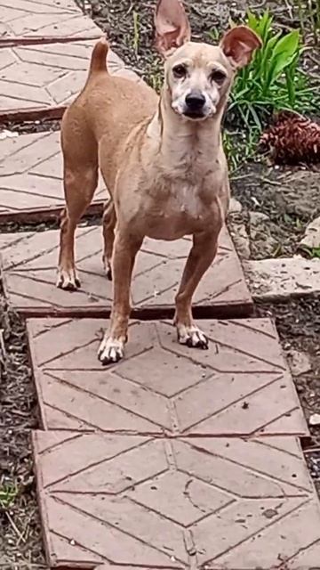 23 мая 2023 г. смотреть онлайн