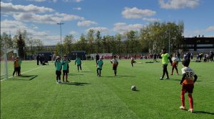 созвездие 14-юниор 14