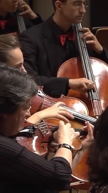 На гитаре есть ТАКОЙ звук?? #гитара #аккорды #игратьна? смотреть онлайн