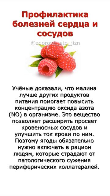 Профилактика болезней сердца и сосудов смотреть онлайн