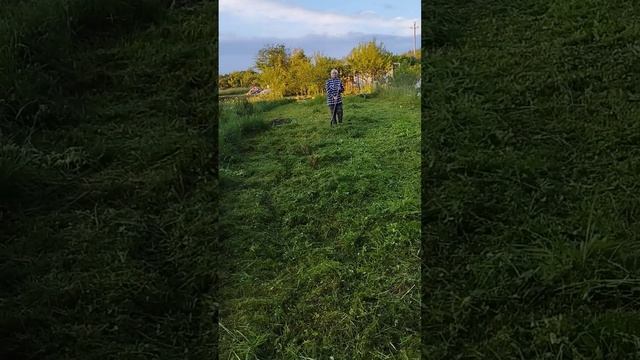 Городские или деревенские? #дача #минск смотреть онлайн