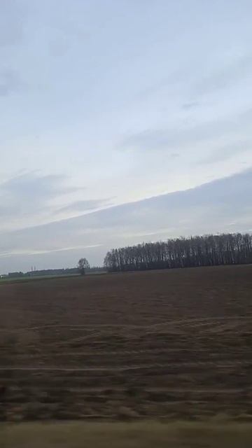 Группа " Белый день" смотреть онлайн