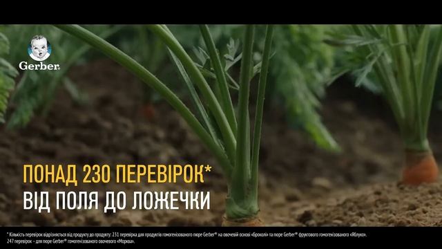 Дитячі пюре Gerber® - Все для малюка! смотреть онлайн
