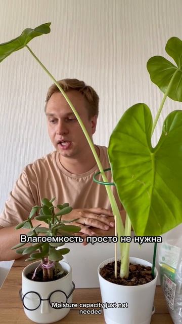 Ссылка в шапке профиля 🪴👍🏾💪🏾🤝🏾✅ #грунт #субстр смотреть онлайн