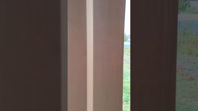 Фирменный стиль террасы Woodbracket смотреть онлайн