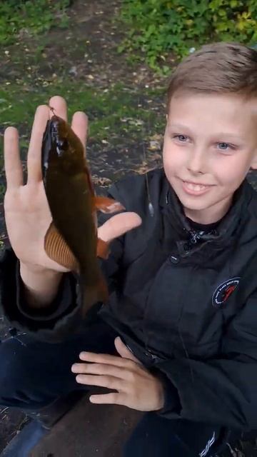 большой золотой карась на поплавок