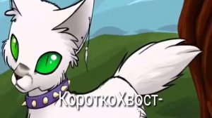 Мои придуманые персонажи коты воители