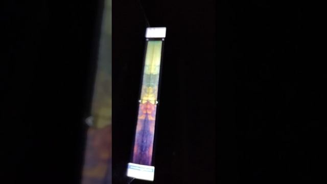 ГОСПОДЬ МАН-И-ЕЛЬ! смотреть онлайн