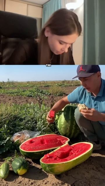 Кто ест арбуз с хлебом? #тренды #shortsfeed смотреть онлайн