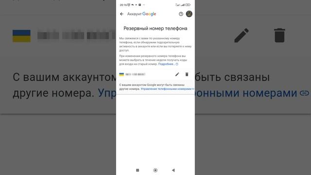 Suburban Sanctuaries