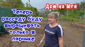 Теперь рассаду буду выращивать только в парнике.