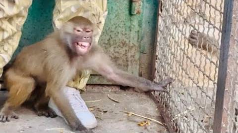 Люське пришлось устроить ВЕЛИКИЙ СКАНДАЛ, чтобы Елисей обратил на нее ВНИМАНИЕ! смотреть онлайн