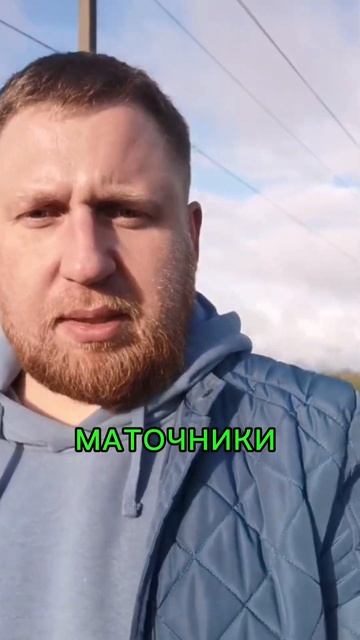 Лаванде Быть! смотреть онлайн