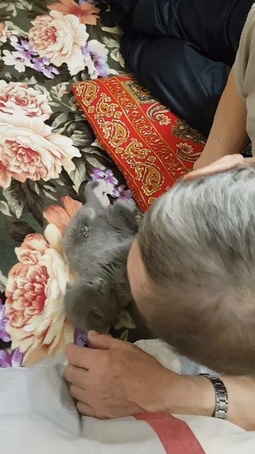 Любовь-это и есть жизнь!!!! #деревенскаяжизнь смотреть онлайн